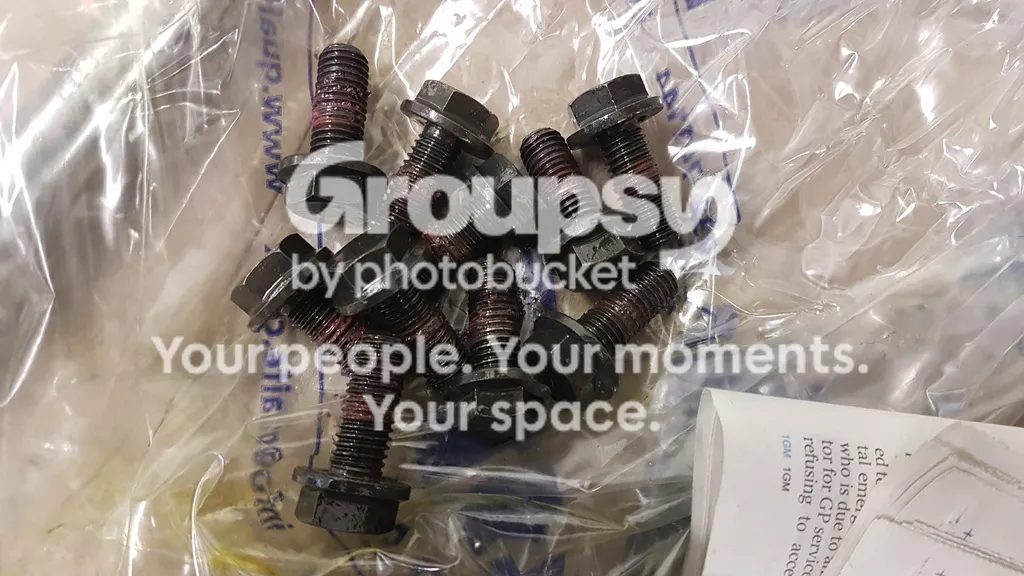 A clear plastic bag of dirty black crown ring bolts